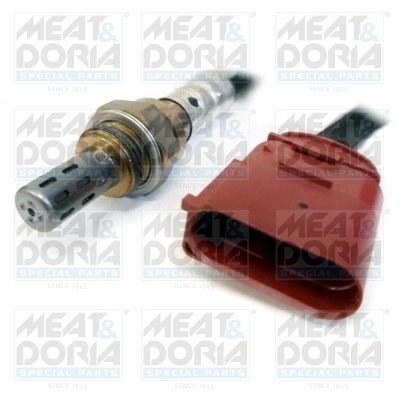 Oxygen Sensor